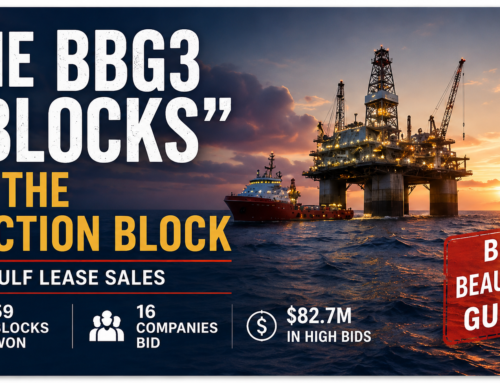 U.S. Gulf Lease Sales: The “Blocks” on the Auction Block